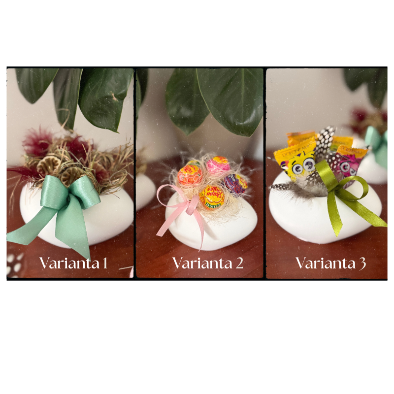 Varianta 1 (6)